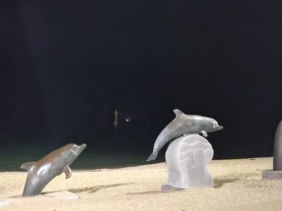 더마크속초레지던스호텔 쿠폰