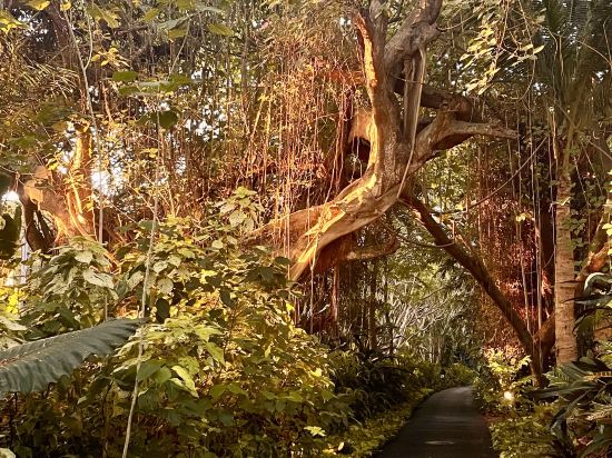 巴釐凱悦酒店優惠