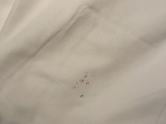 PapaHo民宿（深圳高新園店）優惠