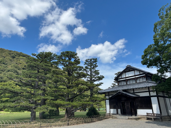天然温泉 玉藻の湯 ドーミーイン高松中央公園前 クーポン
