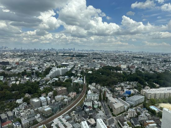 東急二子玉川卓越大飯店優惠