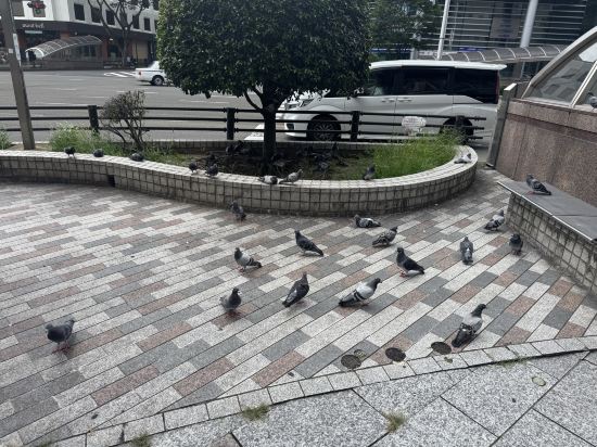 ホテルクラウンヒルズ仙台青葉通り クーポン