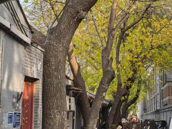 懿庭臻舍飯店（北京南鑼鼓巷故宮地鐵站店）優惠