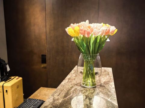 香港皇悦卓越酒店（銅鑼灣店）優惠