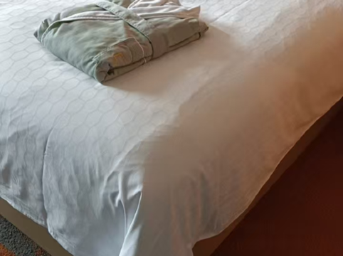 深圳北站希爾頓歡朋酒店優惠