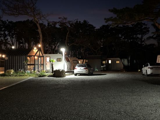 Pohang Uni's Sea Caravan (Homigot Branch) 쿠폰