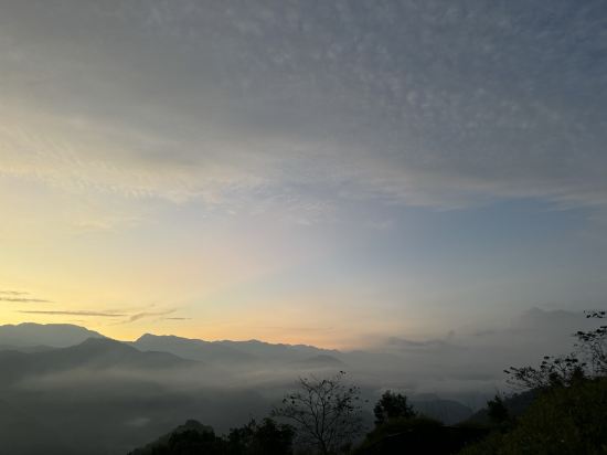 阿里山梅園樓觀景飯店優惠