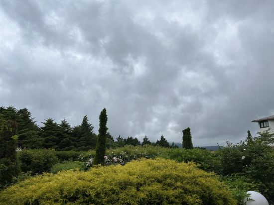 ホテルグリーンプラザ箱根 クーポン