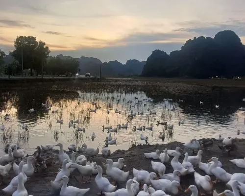 Tam Coc Central Bungalow-Ninh Binh In der Nähe des Hotels Photos
