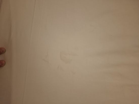 希迪特酒店優惠