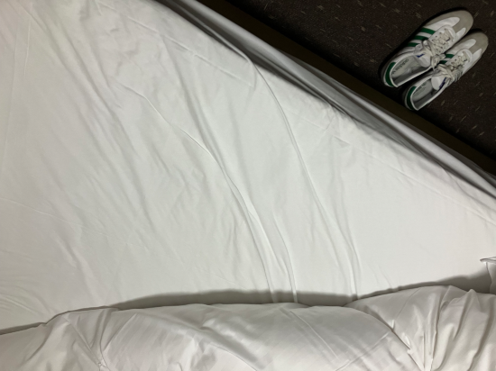 天然温泉　霧桜の湯　ドーミーイン鹿児島 クーポン