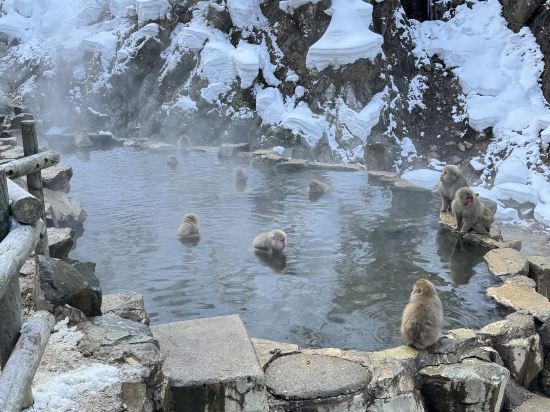 渋温泉　湯本旅館 クーポン
