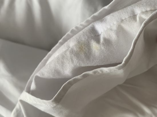 瑞士貝林現代芝坎德酒店優惠