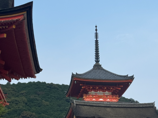 京都烏丸五條口袋飯店 私人空間優惠