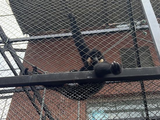 東莞隱賢山莊酒店優惠