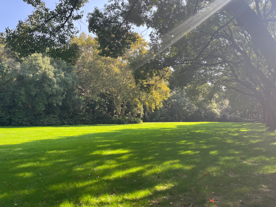 上海西郊賓館優惠