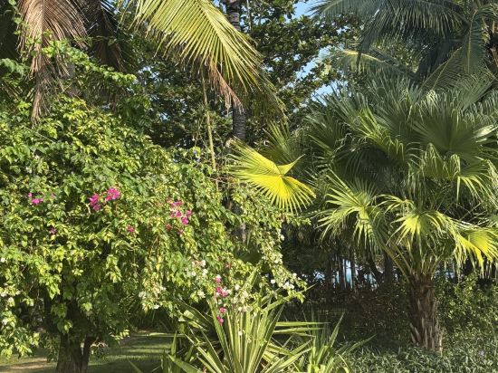 三亞海棠灣JW萬豪度假酒店優惠