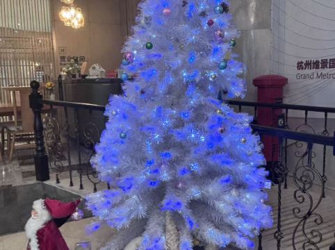 杭州維景國際大酒店優惠