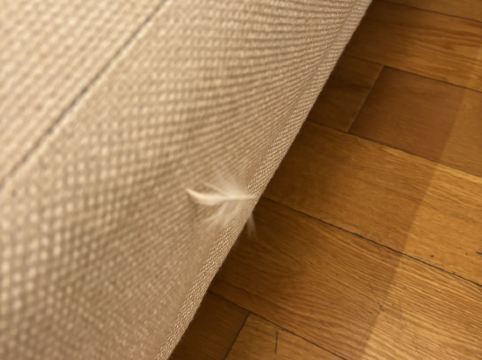 廣州南沙花園酒店優惠