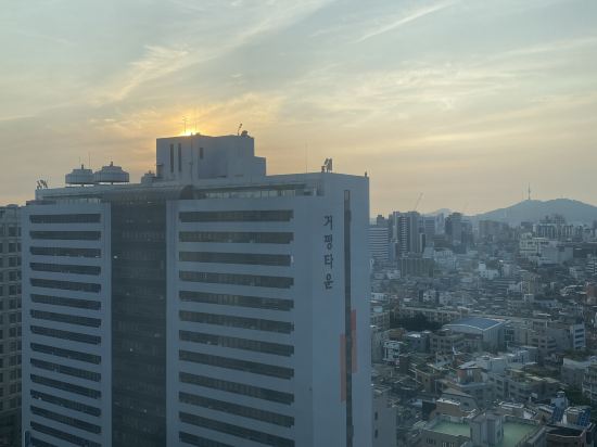 도미인 서울 강남 쿠폰