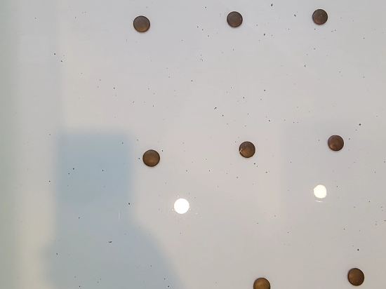 호텔 일루아 쿠폰