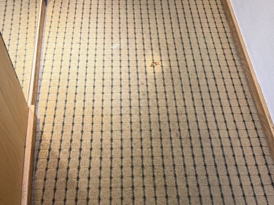 코모도호텔 부산 쿠폰