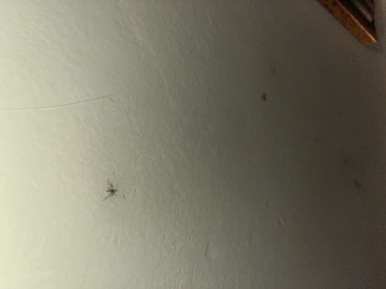 聖艾戈迪歐住宅酒店優惠