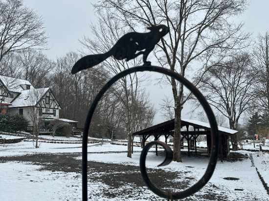 清泉寮 クーポン