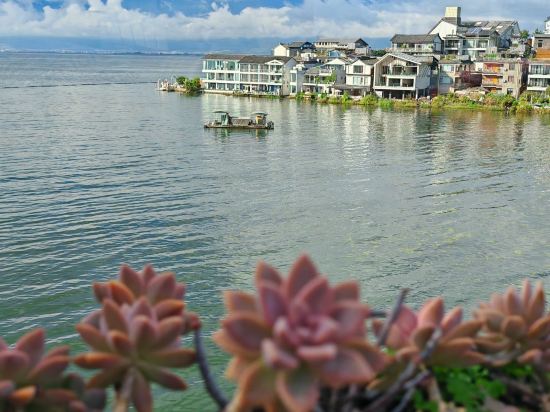 大理海音·海景花園美宿優惠