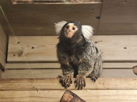 長隆飛船飯店優惠