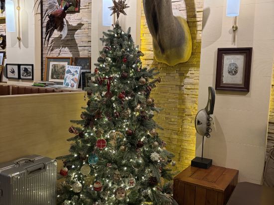 神祕圖鑒·SecretLand飯店（中山路步行街輪渡碼頭店）優惠