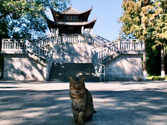 吉安希爾頓歡朋酒店優惠