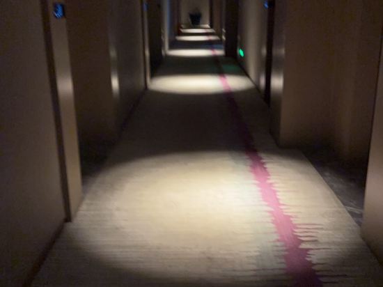 麗楓酒店（郴州五嶺廣場店）優惠