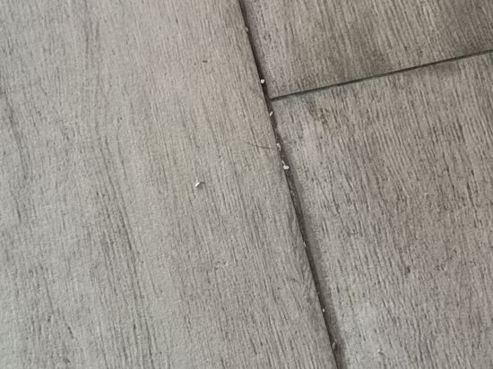 惠東雙月灣華美達酒店優惠