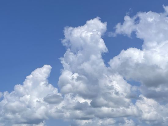 フェアフィールド・バイ・マリオット･京都京丹波 クーポン