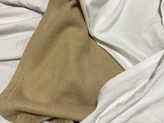 宜必思快捷酒店 - 悉尼奧林匹克公園優惠