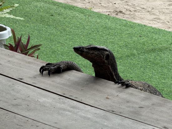 天堂俱樂部飯店優惠