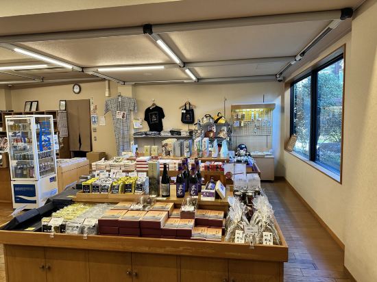 下呂溫泉 湯之島館優惠