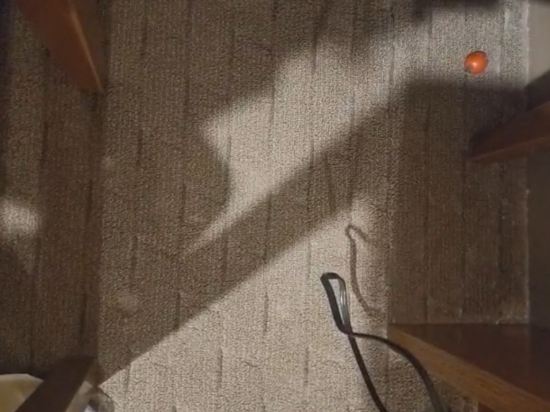 新宿華盛頓酒店優惠