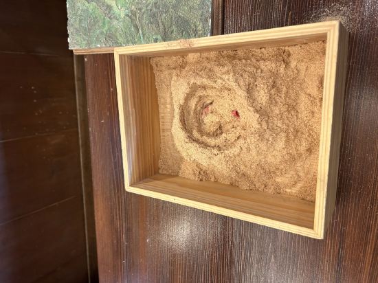 星野リゾート 界 阿蘇 クーポン