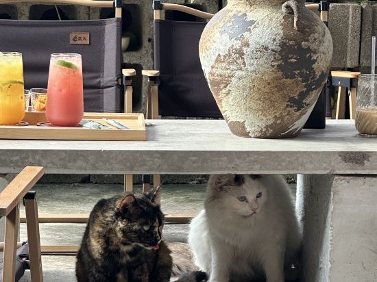 中山愛百得藝術酒店優惠