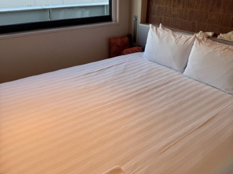 ホテル阪神アネックス大阪 クーポン