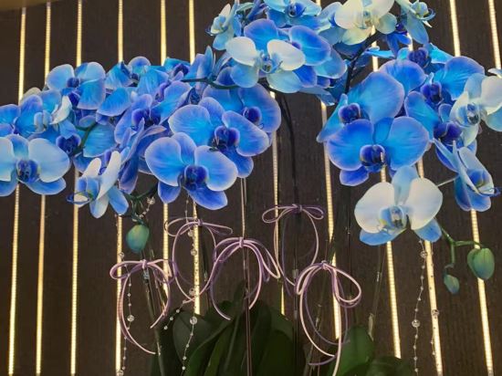 深圳雅庭精品酒店優惠