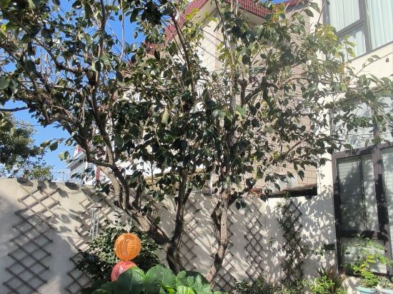 小院河畔民宿優惠