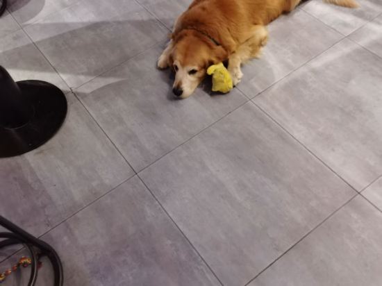 背包十年青年旅舍（成都春熙路店）優惠