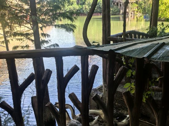 佛山順德長鹿度假村優惠