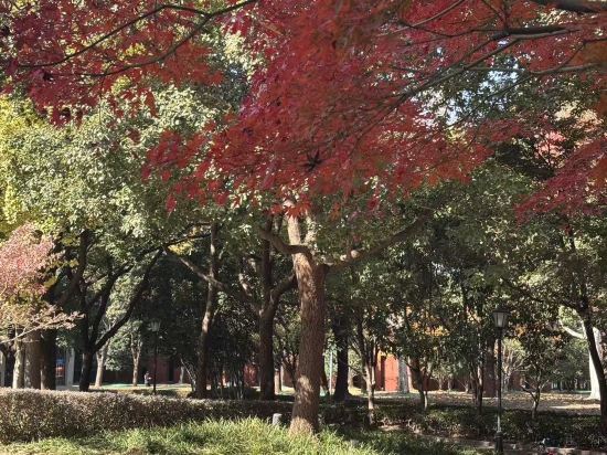 上海中山公園雲睿酒店優惠