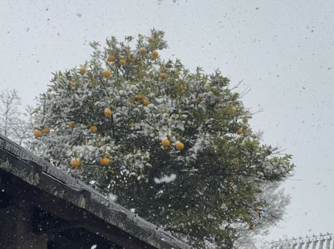 M’s Plus 四條大宮酒店優惠