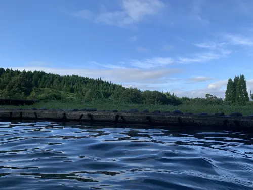 Oogi Onsen Oogiso Рядом с отелем Photos