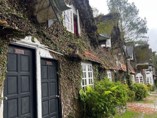 金馬倫高原種植園鄉村酒店優惠